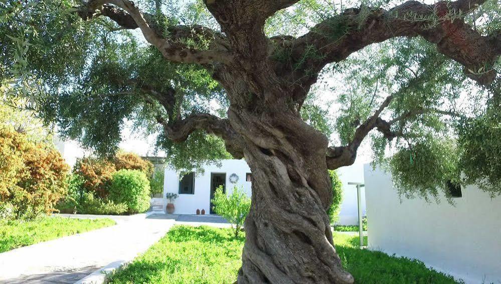 Niriides Villas Selinitsa Dış mekan fotoğraf